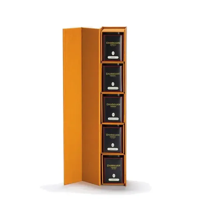 Cutie Cadou Dammann "Atlas"