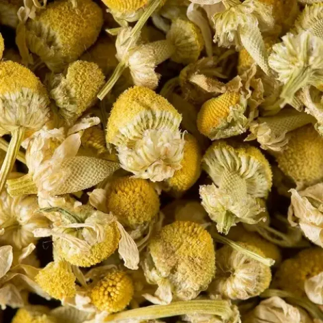 Ceai de Musetel Dammann 21 plicuri